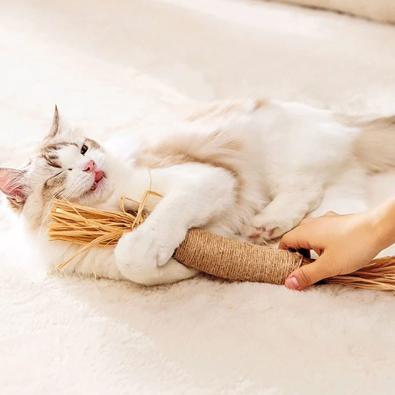 Bí Quyết Chọn Đồ Chơi Và Dụng Cụ Làm Đẹp Phù Hợp Cho Thú Cưng