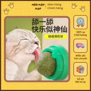 Catnip dán tường - Viên cỏ bạc hà dán tường cho mèo giúp mèo thư giãn, làm sạch răng