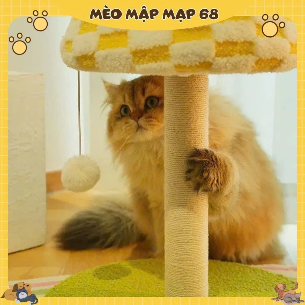 Cây Cào Móng Cho Mèo Hình Cây Đèn Ngủ Caro Ngộ Nghĩnh - Cat Tree Đồ Chơi Gãi Móng Thú Cưng Decor Mèo Mập Mạp - Ảnh 3