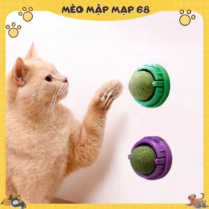 Alternative view of Catnip dán tường - Viên cỏ bạc hà dán tường cho mèo giúp mèo thư giãn, làm sạch răng