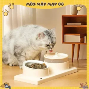 Alternative view of Bát ăn cho chó mèo bằng sứ chống gù chống lật Vòi nước cho thú cưng máy lọc nước cho mèo