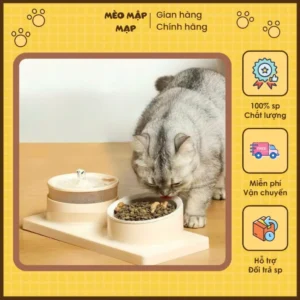 Bát ăn cho chó mèo bằng sứ chống gù chống lật Vòi nước cho thú cưng máy lọc nước cho mèo
