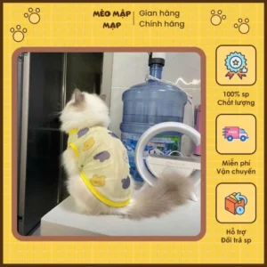 Áo Thun Mát Cho Mèo – Áo Lưới Nhẹ Họa Tiết Gấu Mây, Thoáng Khí Cho Boss