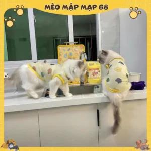 Alternative view of Áo Thun Mát Cho Mèo – Áo Lưới Nhẹ Họa Tiết Gấu Mây, Thoáng Khí Cho Boss